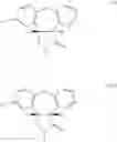 Fig. 15 - Intermediate compounds for the preparation of -5-chloro-2-methyl-2,3,3a,12b-tetrahydro-1-dibenz[2,3:6,7]oxepino[4,5-]pyrrole