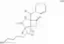 Fig. 16 - Substituted heterocycles
