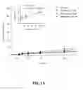 Fig. 02 - Pharmaceutical composition containing flavonoids