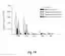 Fig. 06 - Pharmaceutical composition containing flavonoids