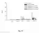 Fig. 07 - Pharmaceutical composition containing flavonoids