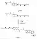 Fig. 01 - Tocopherol-modified therapeutic drug compounds