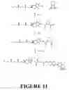 Fig. 12 - Tocopherol-modified therapeutic drug compounds