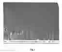 Fig. 02 - Nanoporous and microporous manufacts based on syndiotactic polystyrene and processes for their preparation