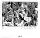Fig. 06 - Nanoporous and microporous manufacts based on syndiotactic polystyrene and processes for their preparation