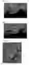 Fig. 02 - Coating composition