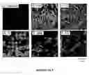 Fig. 04 - Method for producing stable fluorine-containing water-dispersible latexes