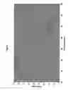 Fig. 04 - Powder coating matting agent comprising ester amide condensation product