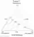Fig. 02 - Coating compositions containing ethylenically unsaturated polyurethanes as binders