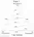 Fig. 04 - Coating compositions containing ethylenically unsaturated polyurethanes as binders