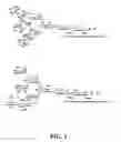 Fig. 02 - Gp120 specific antigens and uses thereof
