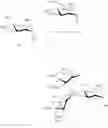 Fig. 158 - Gp120 specific antigens and uses thereof
