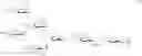 Fig. 25 - Gp120 specific antigens and uses thereof