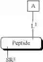 Fig. 53 - Gp120 specific antigens and uses thereof