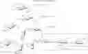 Fig. 70 - Gp120 specific antigens and uses thereof