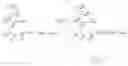 Fig. 79 - Gp120 specific antigens and uses thereof