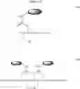 Fig. 85 - Gp120 specific antigens and uses thereof