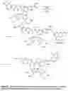 Fig. 07 - Polar dyes