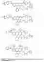 Fig. 08 - Polar dyes