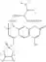 Fig. 61 - Polar dyes