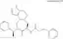 Fig. 256 - Constrained compounds as CGRP-receptor antagonists