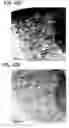 Fig. 34 - Transition metal-containing catalysts and catalyst combinations including transition metal-containing catalysts and processes for their preparation and use as oxidation catalysts