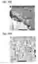 Fig. 46 - Transition metal-containing catalysts and catalyst combinations including transition metal-containing catalysts and processes for their preparation and use as oxidation catalysts