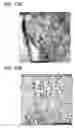 Fig. 47 - Transition metal-containing catalysts and catalyst combinations including transition metal-containing catalysts and processes for their preparation and use as oxidation catalysts