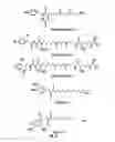 Fig. 06 - Calcium receptor-active molecules