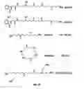 Fig. 07 - Calcium receptor-active molecules