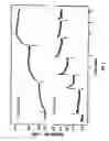 Fig. 08 - Calcium receptor-active molecules