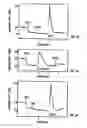 Fig. 09 - Calcium receptor-active molecules