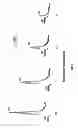 Fig. 12 - Calcium receptor-active molecules