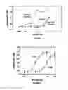 Fig. 33 - Calcium receptor-active molecules