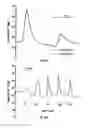 Fig. 35 - Calcium receptor-active molecules