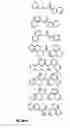 Fig. 63 - Calcium receptor-active molecules