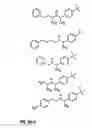 Fig. 77 - Calcium receptor-active molecules