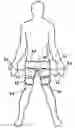 Fig. 01 - Suprapatellar external counterpulsation apparatus