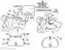 Fig. 01 - Automated chest compression apparatus with a bladder between the belt and the patient