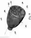 Fig. 06 - Integrated detachable introducer