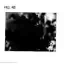 Fig. 06 - ABSORBENT ARTICLES
