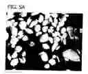 Fig. 07 - ABSORBENT ARTICLES