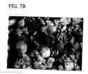 Fig. 13 - ABSORBENT ARTICLES