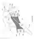 Fig. 45 - Systems, devices, and methods for treating pelvic floor disorders