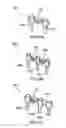 Fig. 05 - Apparatus and methods for spinal implant with dynamic stabilization system