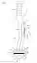Fig. 02 - Surgical introducer