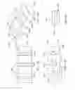 Fig. 15 - Adjustable and fixed assembled bone-tendon-bone graft