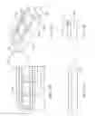 Fig. 18 - Adjustable and fixed assembled bone-tendon-bone graft