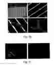 Fig. 11 - Device for tissue engineering