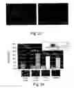 Fig. 12 - Device for tissue engineering
